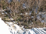 /Rocher/2007/Images/484/mini-Photo FRe 246Icon.jpg